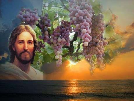 LITURGIA Abril 29Unirnos a Cristo para ser fecundos con él