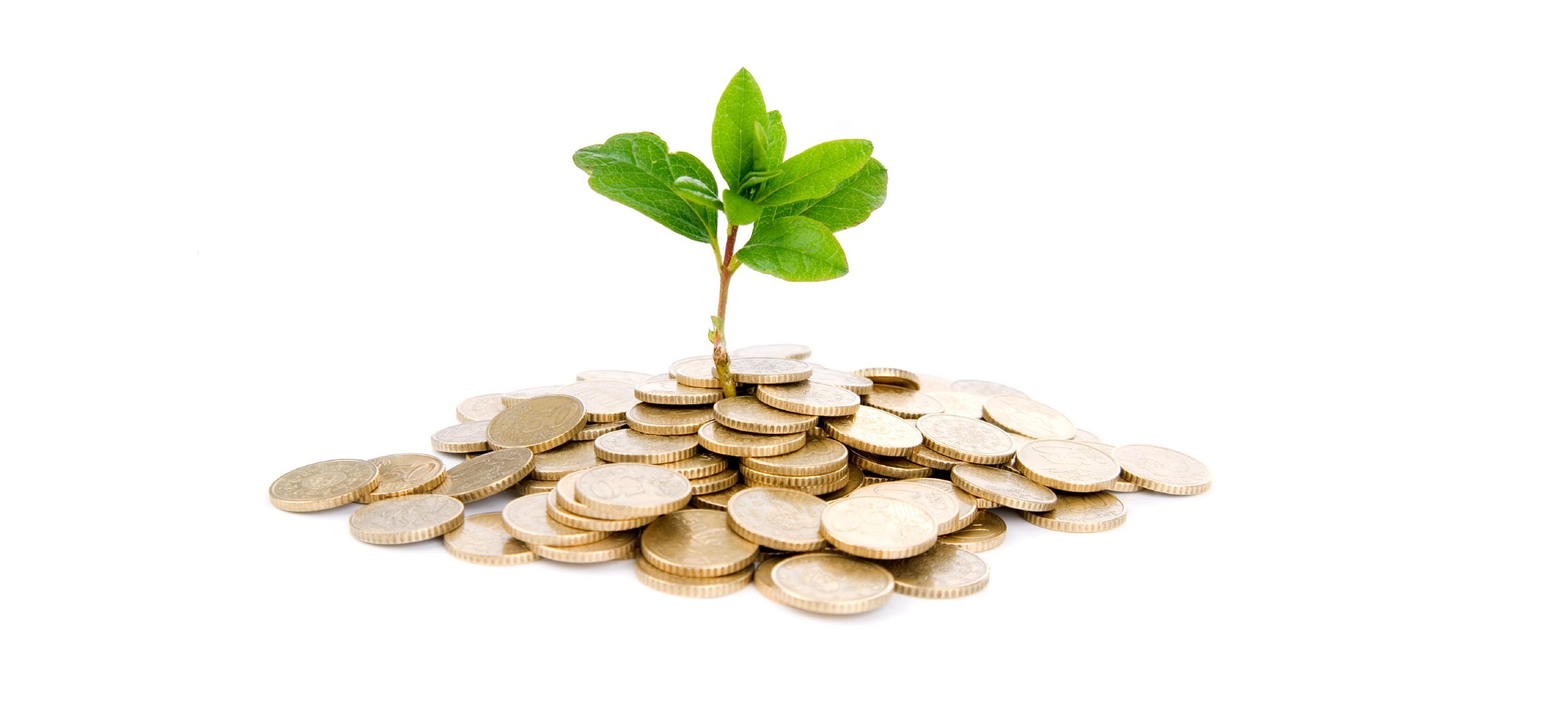 Balance del IOR: el dinero es para servir