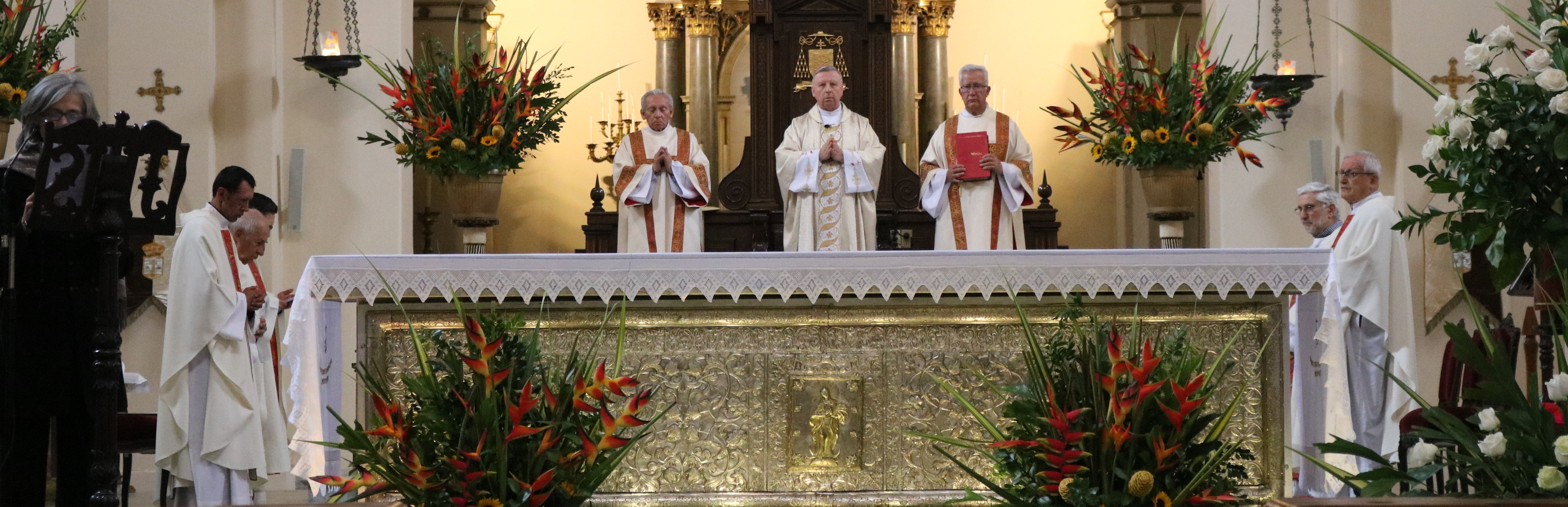 Humanae Vitae, encíclica controvertida y profética