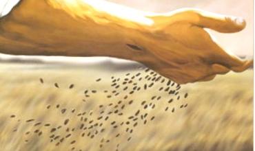 LITURGIA Junio 17 El Reino brota a partir de lo sembrado en cada ser humano