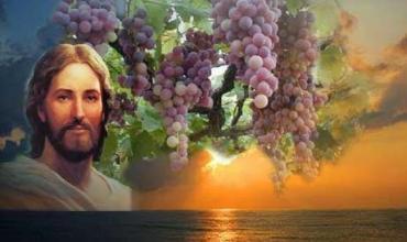 LITURGIA Abril 29Unirnos a Cristo para ser fecundos con él