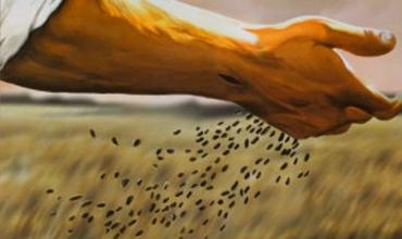 LITURGIA Julio 3   La fecundidad del Reino y la precariedad de medios