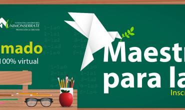 Están abiertas las inscripciones para el diplomado Maestros para la paz