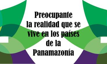 Es preocupante la realidad que se vive en los países de la Panamazonía