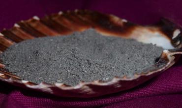 Del carnaval a la ceniza de la misericordia