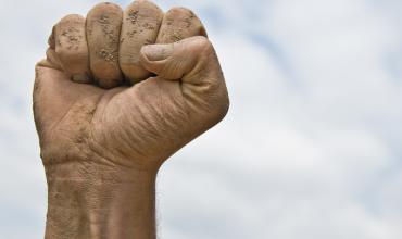 Fuerza de voluntad, vale la pena…