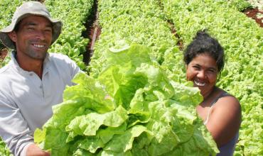 Día del campesino: tierra para el pan de cada día