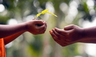 Iglesia católica se suma a los preparativos para la jornada mundial por el cuidado de la creación